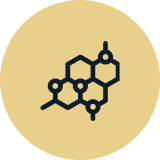 Hormone & Endocrine Medicine