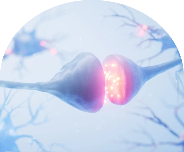 Brain neurons transmitting signals